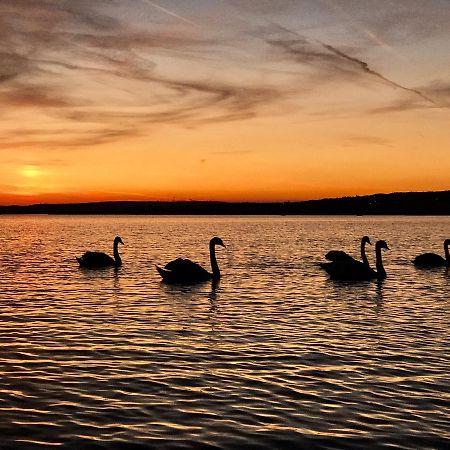 Hotel Lelle Balatonlelle Dış mekan fotoğraf